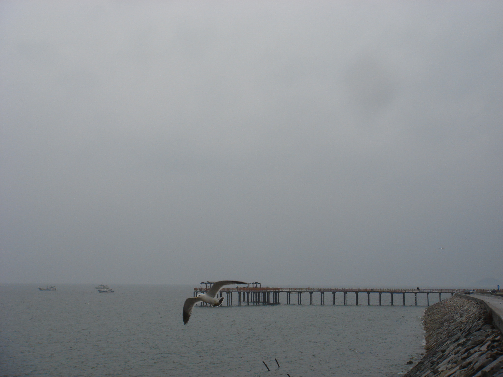 양평역 앞 남한강 조망대 벤치마킹 대상 : 화성시 궁평항 바다낚시터, 궁평항 갈매기