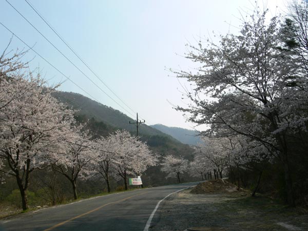 느티나무산장 이미지