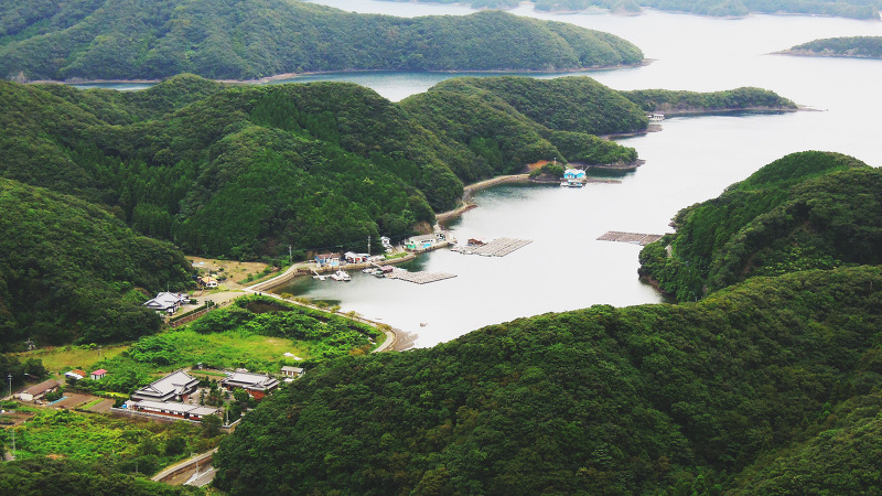 Vé máy bay từ Hồ Chí Minh đến Thành phố  Tsushima