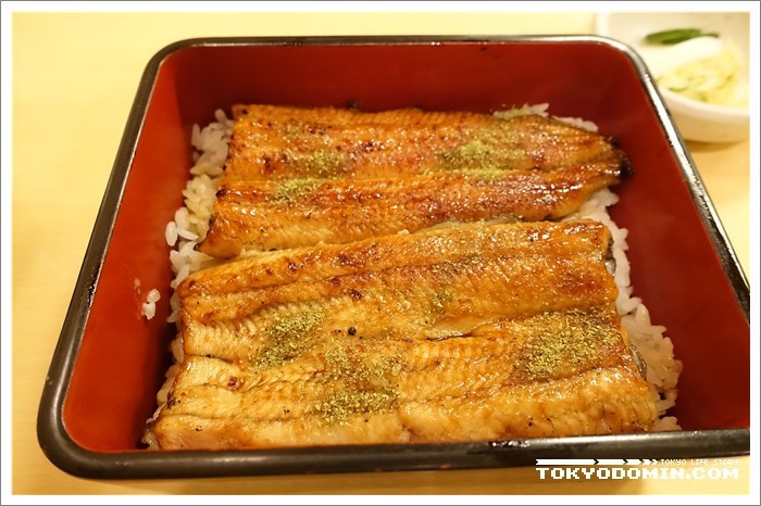 도쿄 아카사카 추천 맛집 모음