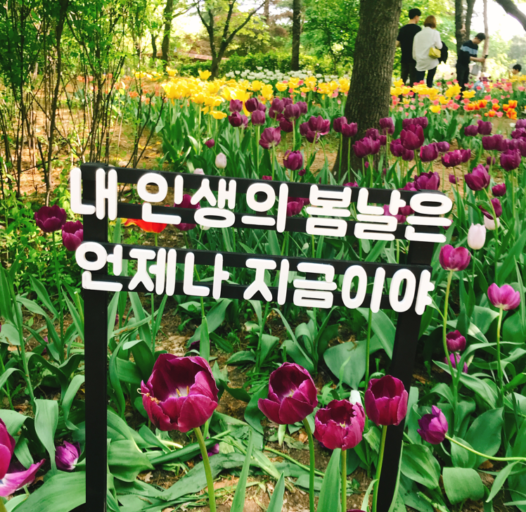 웹사이트에서 자바 및 C언어,파이썬 프로그래밍 컴파일 하기